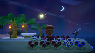 I Wish <i>Animal Crossing</i> Treated Islands More Like Real Life
